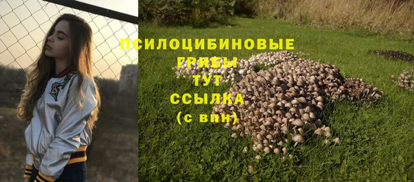 дживик Армянск